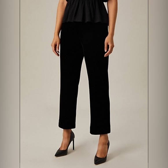 🏷️ NWT Hudson North Velour Ankle Pants in Black. Size 8 - Picture 2 of 8